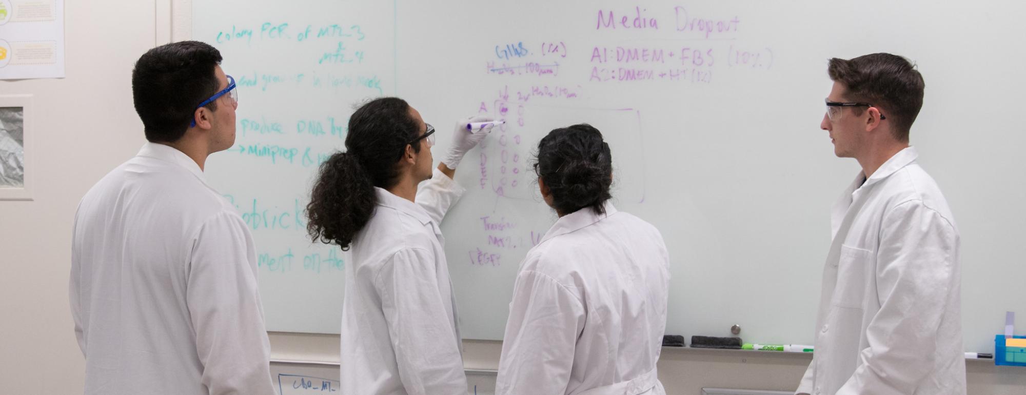 Apply Now Bridges To The Baccalaureate At UC Davis And American River Apply Now Bridges To The Baccalaureate At UC Davis And American River