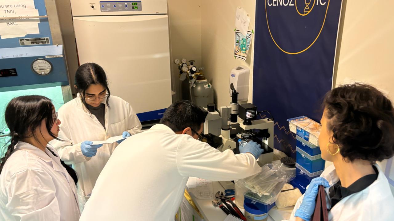 B2B in Lab